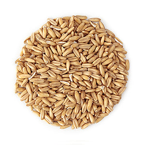 ALDKitchen Grain Mill Grinder | 2000 Grams | Electric High-Speed Grinder Machine | Wheat, Spices & Nut Chopper | Swing Type