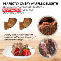 Chocolate / Traditional / 10 Lbs